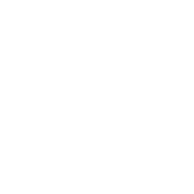 clients, worldwide, app development